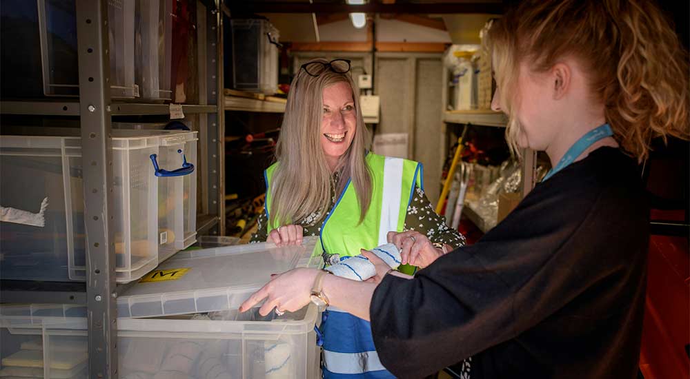 inset what is business insurance