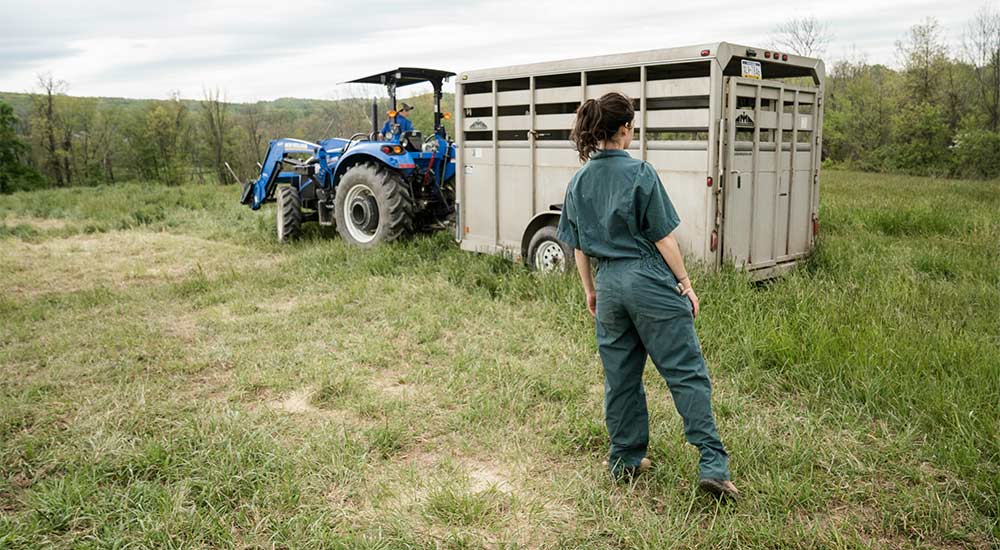 Young person on farm